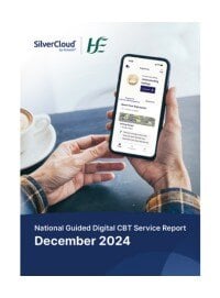 SilverCloud IE HSE Report 2024 - Brochure Image